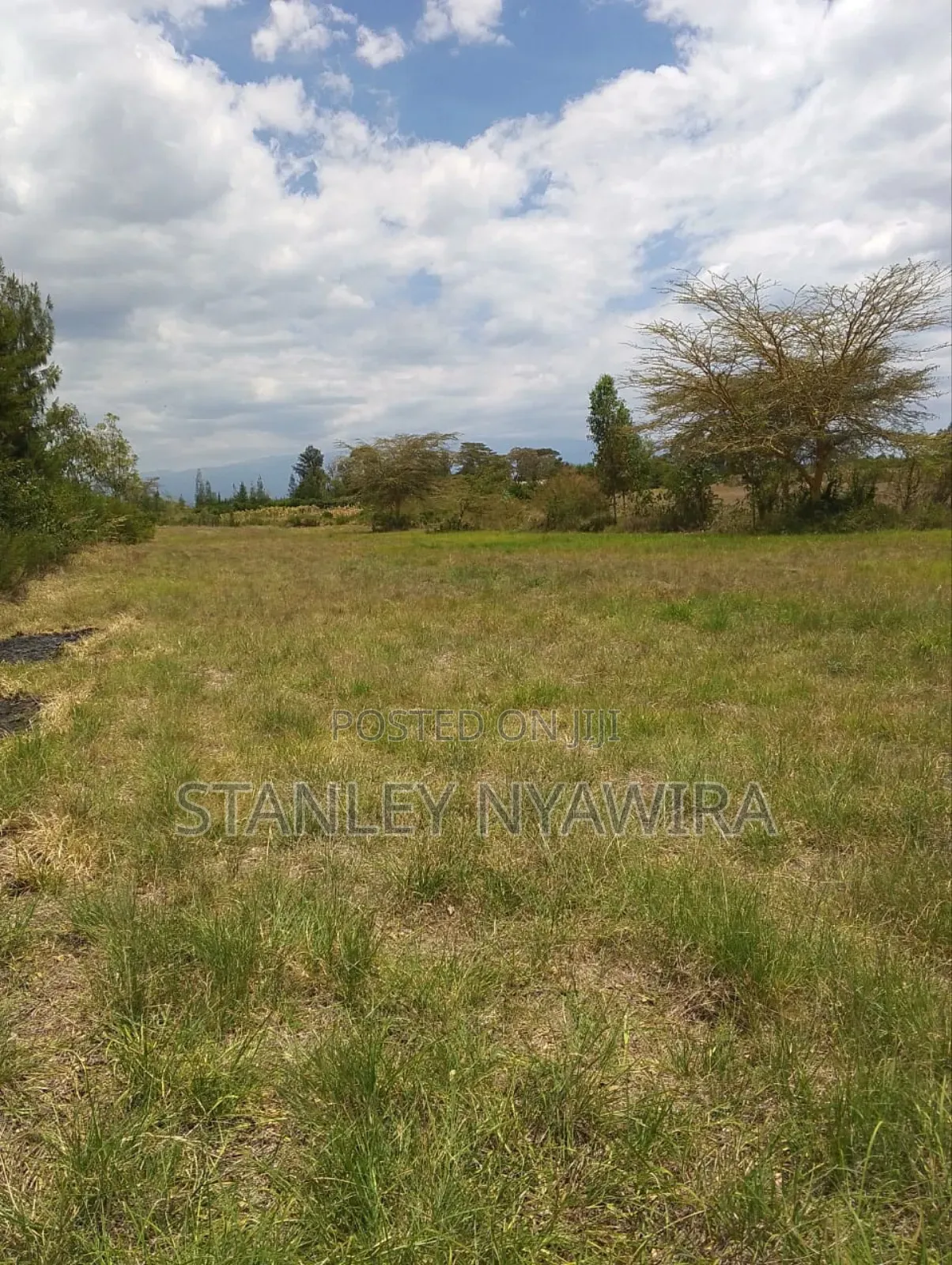 6 Acreas Nanyuki Sweet Water in Nanyuki