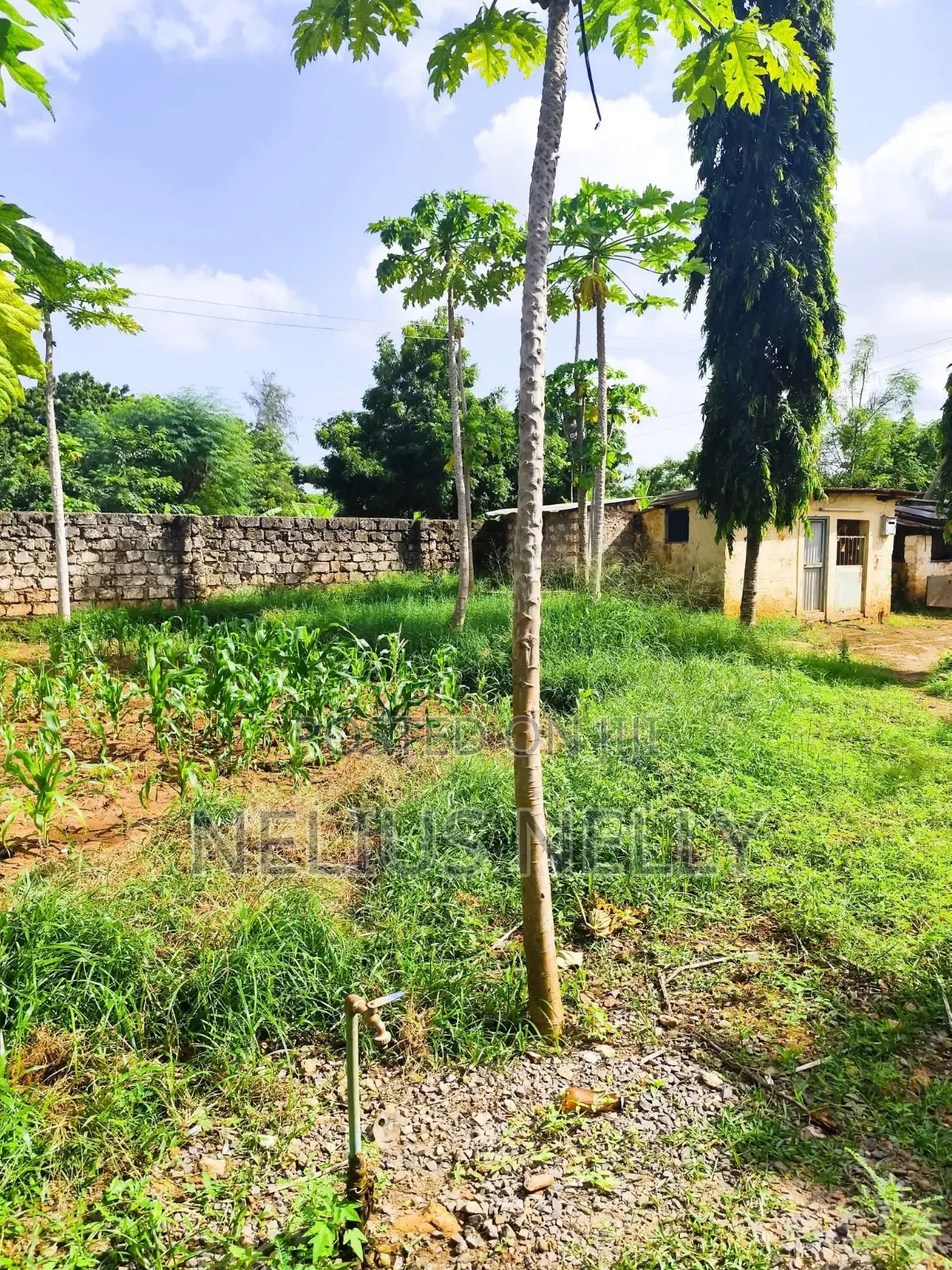 2acres Bofa Kilifi in Kilifi North