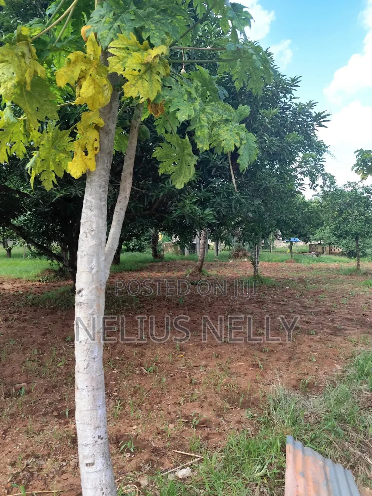 2acres Bofa Kilifi in Kilifi North