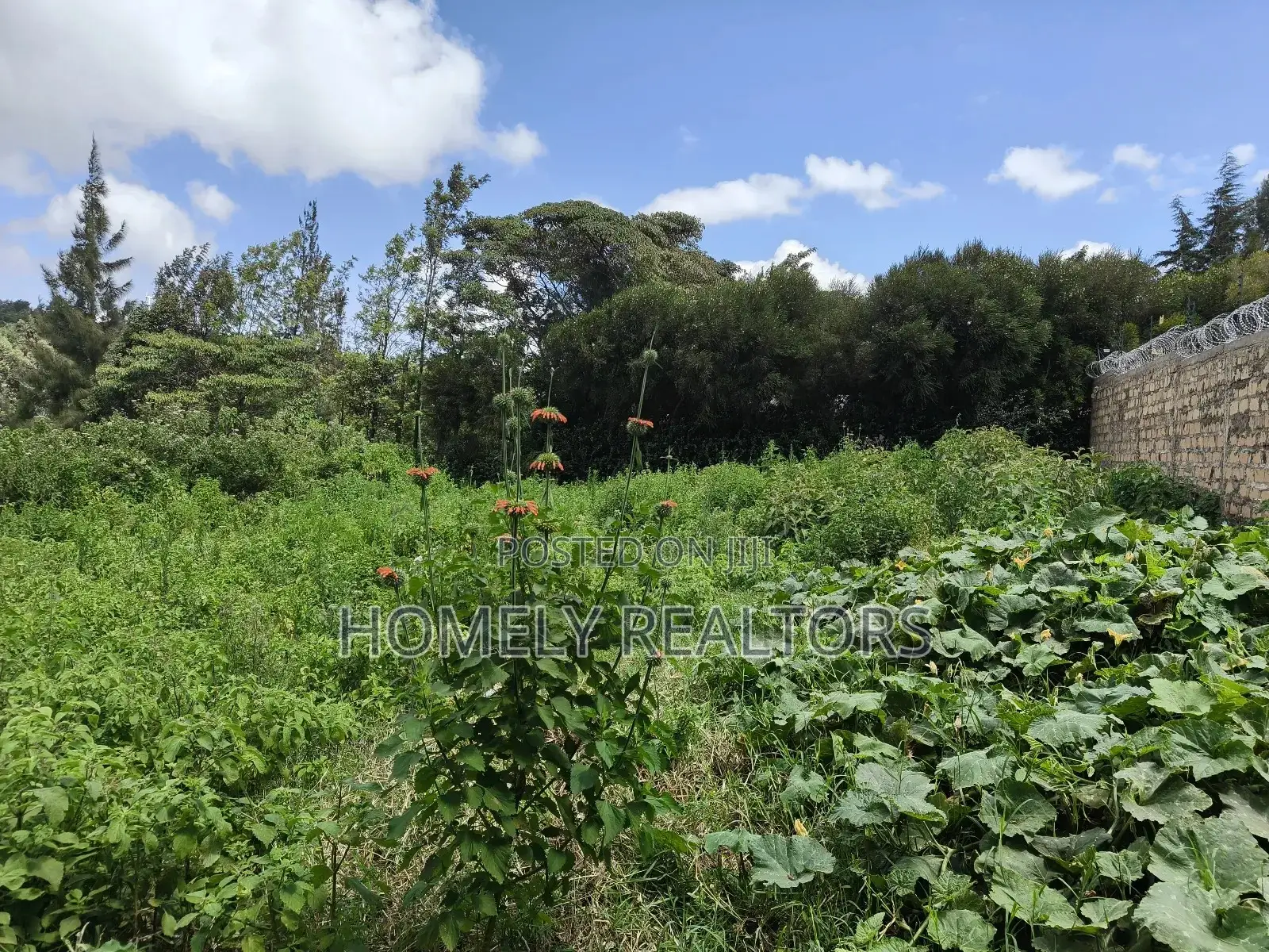 Eighth Acre Plot in Ngong Along Maragara Road Near Tarmac in Ngong