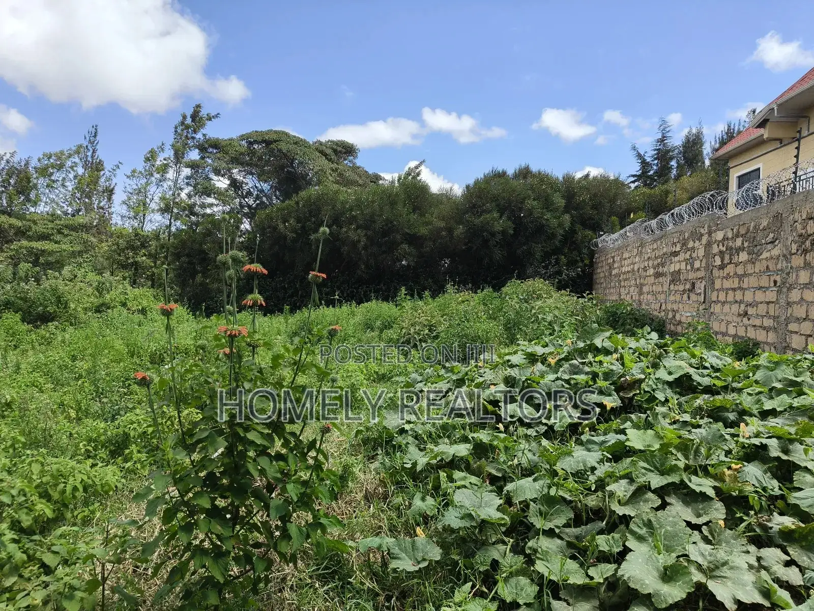 Eighth Acre Plot in Ngong Along Maragara Road Near Tarmac in Ngong
