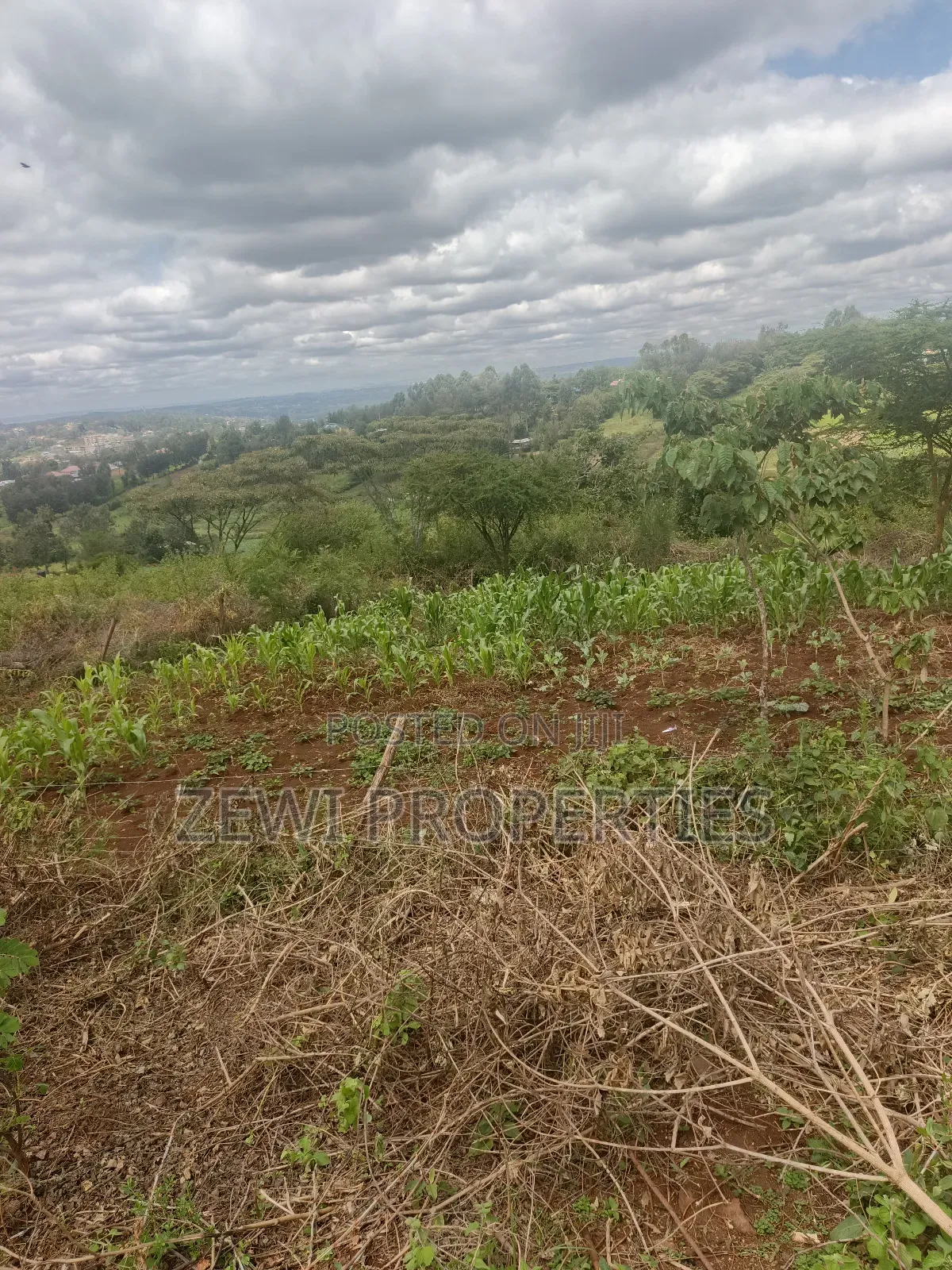 1/8 Acre Olesurutia in Kiserian