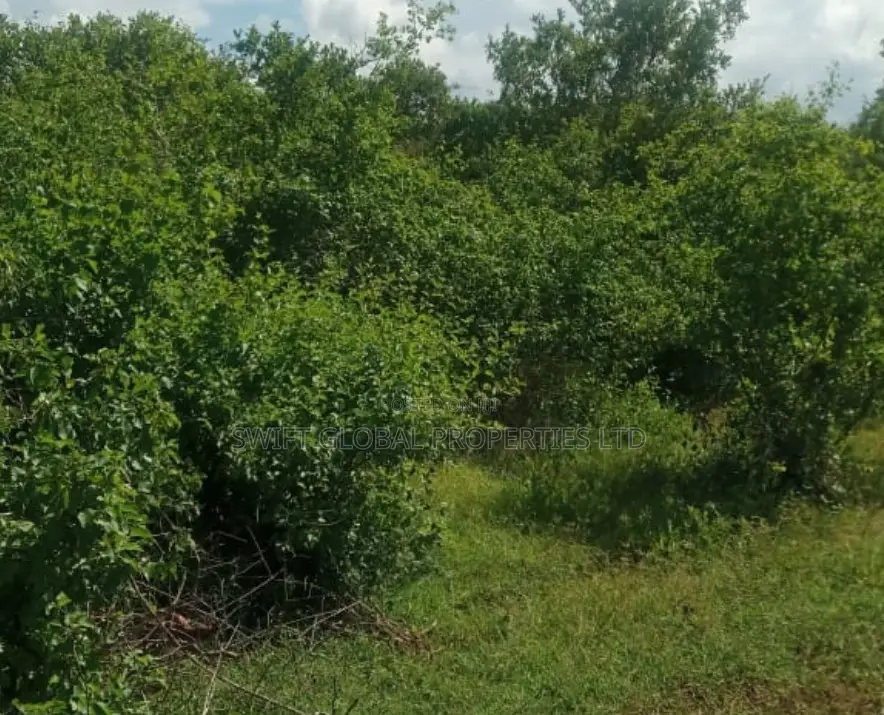 1090 Acres Along Athi River Kiaoni Is Available for Sale in Mutomo