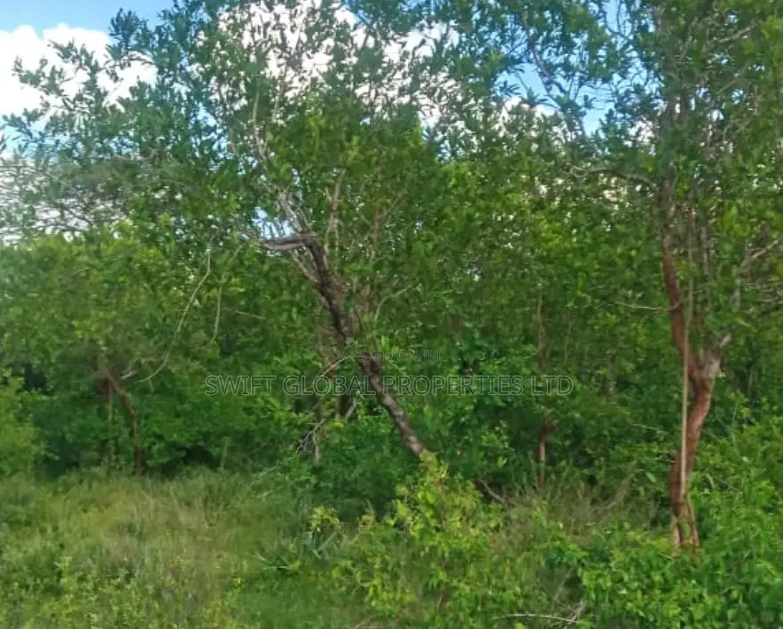 1090 Acres Along Athi River Kiaoni Is Available for Sale in Mutomo