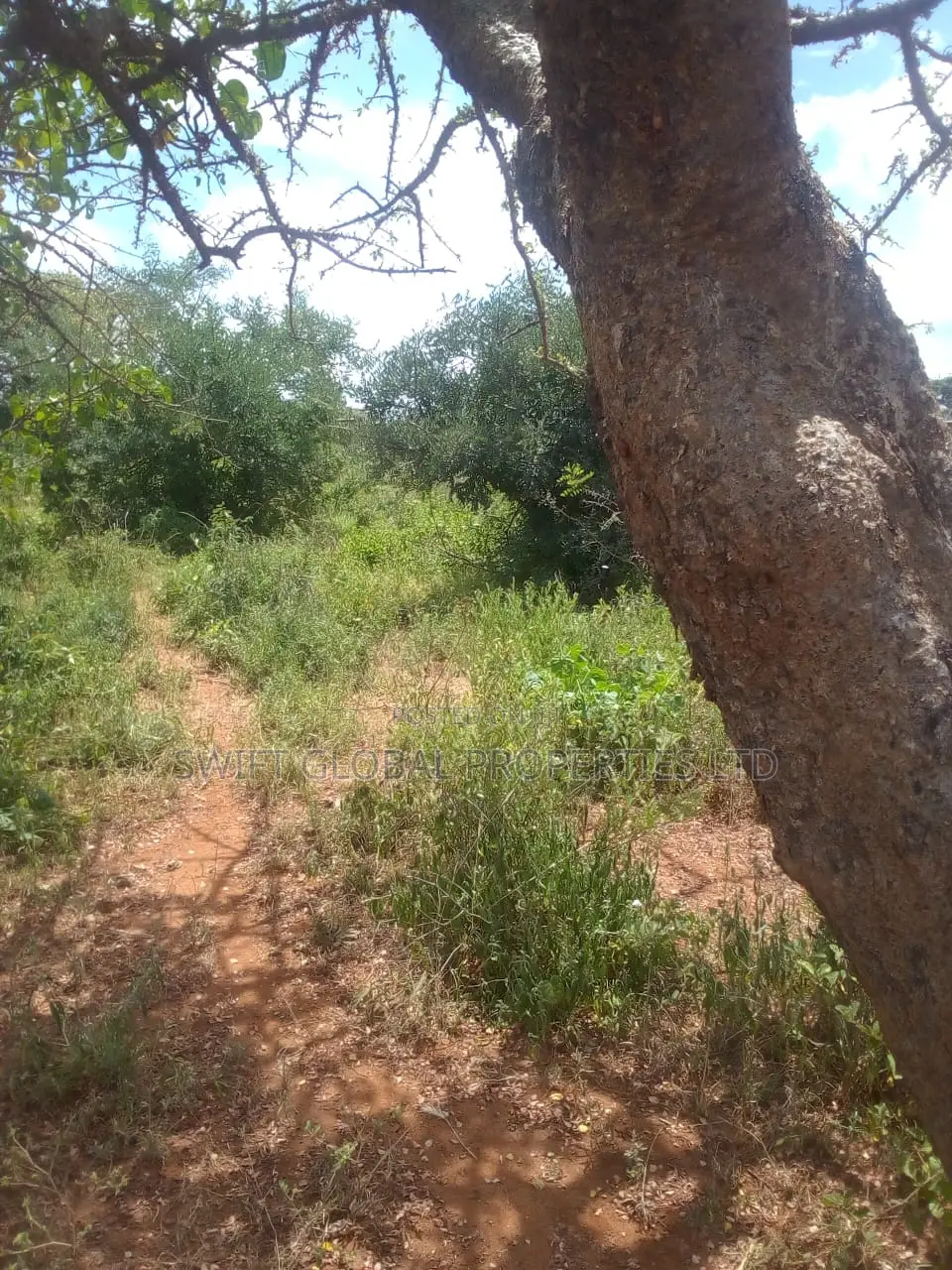 63 Acres of Virgin Land Are Available for Sale in Makindu in Makindu