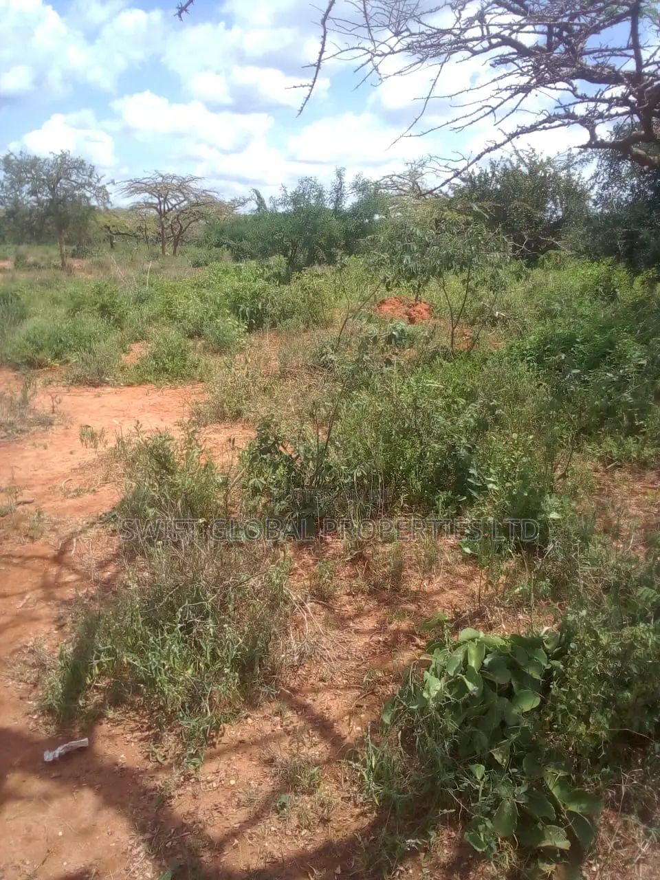 63 Acres of Virgin Land Are Available for Sale in Makindu in Makindu