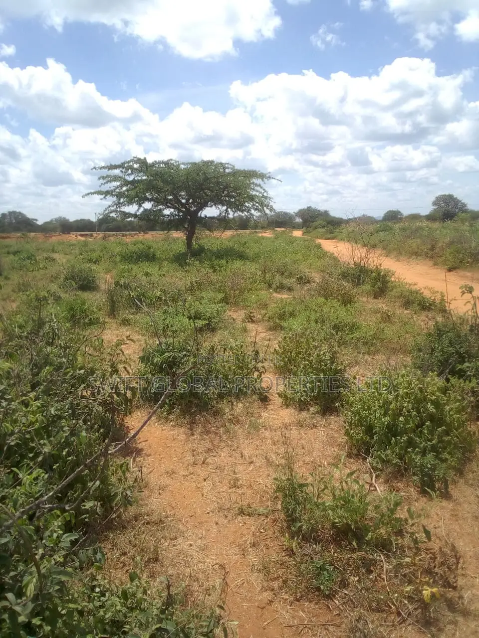 63 Acres of Virgin Land Are Available for Sale in Makindu in Makindu