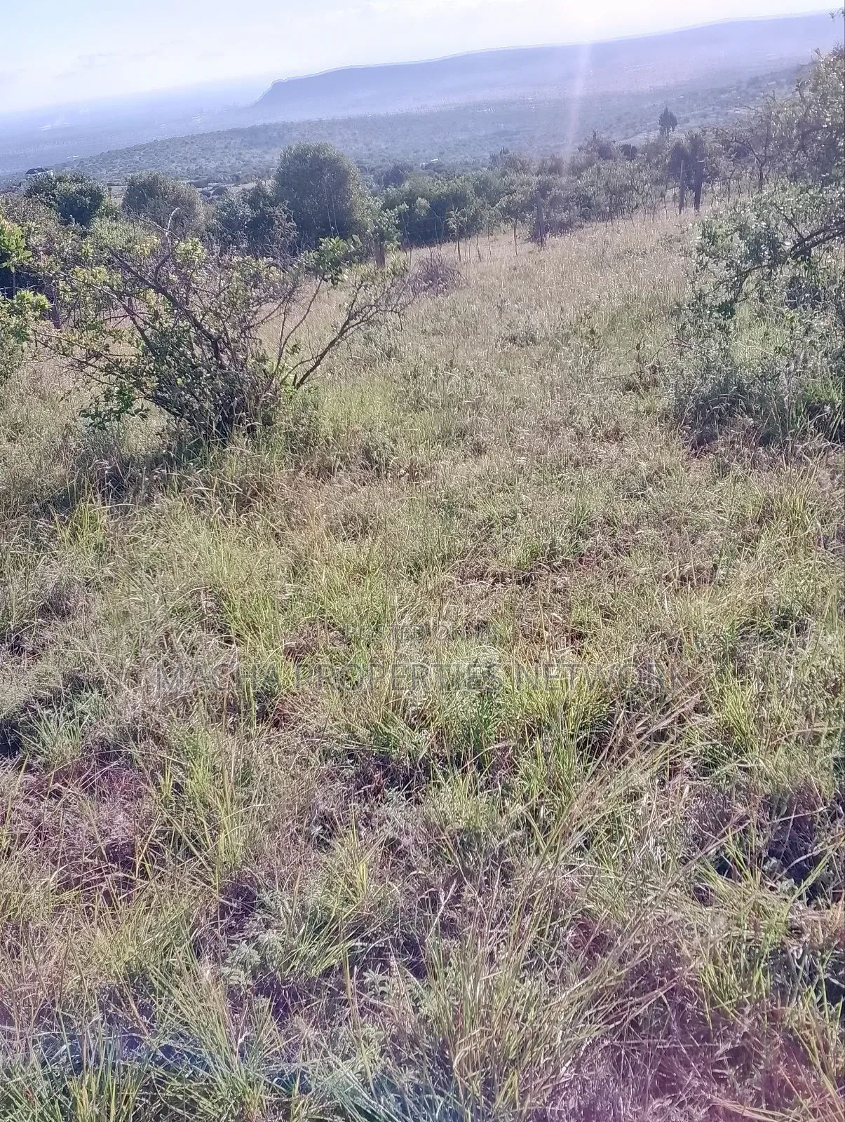 Mua Hills 1,2 or 3 Acres Price 5.5m in Mua