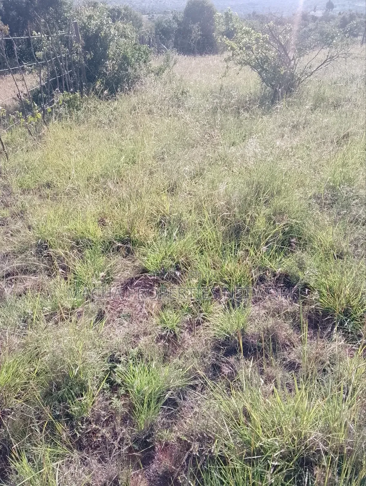 Mua Hills 1,2 or 3 Acres Price 5.5m in Mua
