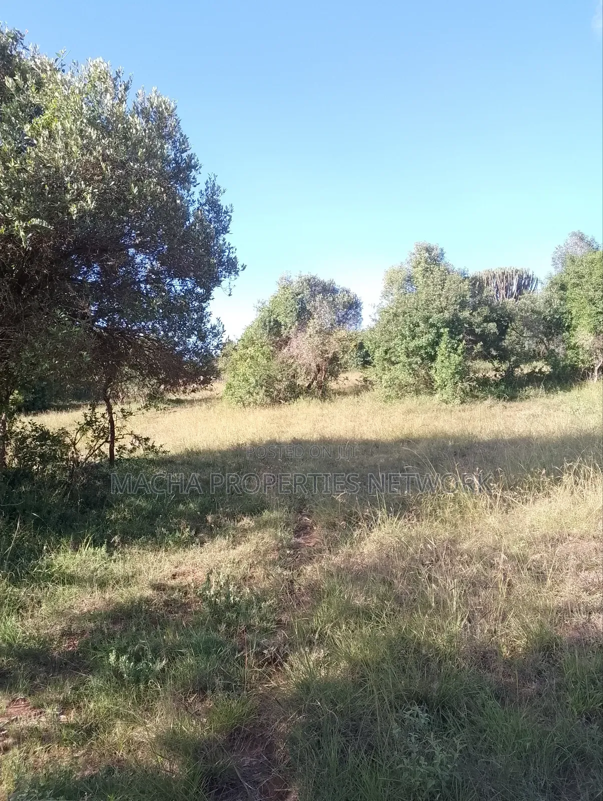 Mua Hills 1,2 or 3 Acres Price 5.5m in Mua