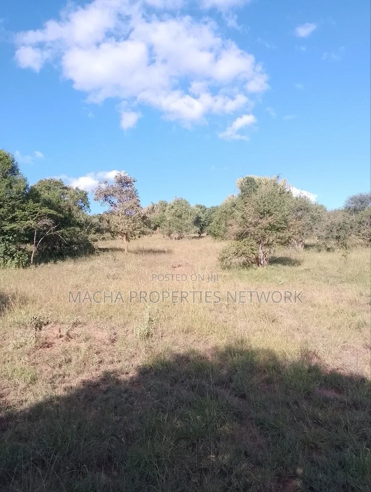 Mua Hills 1,2 or 3 Acres Price 5.5m in Mua