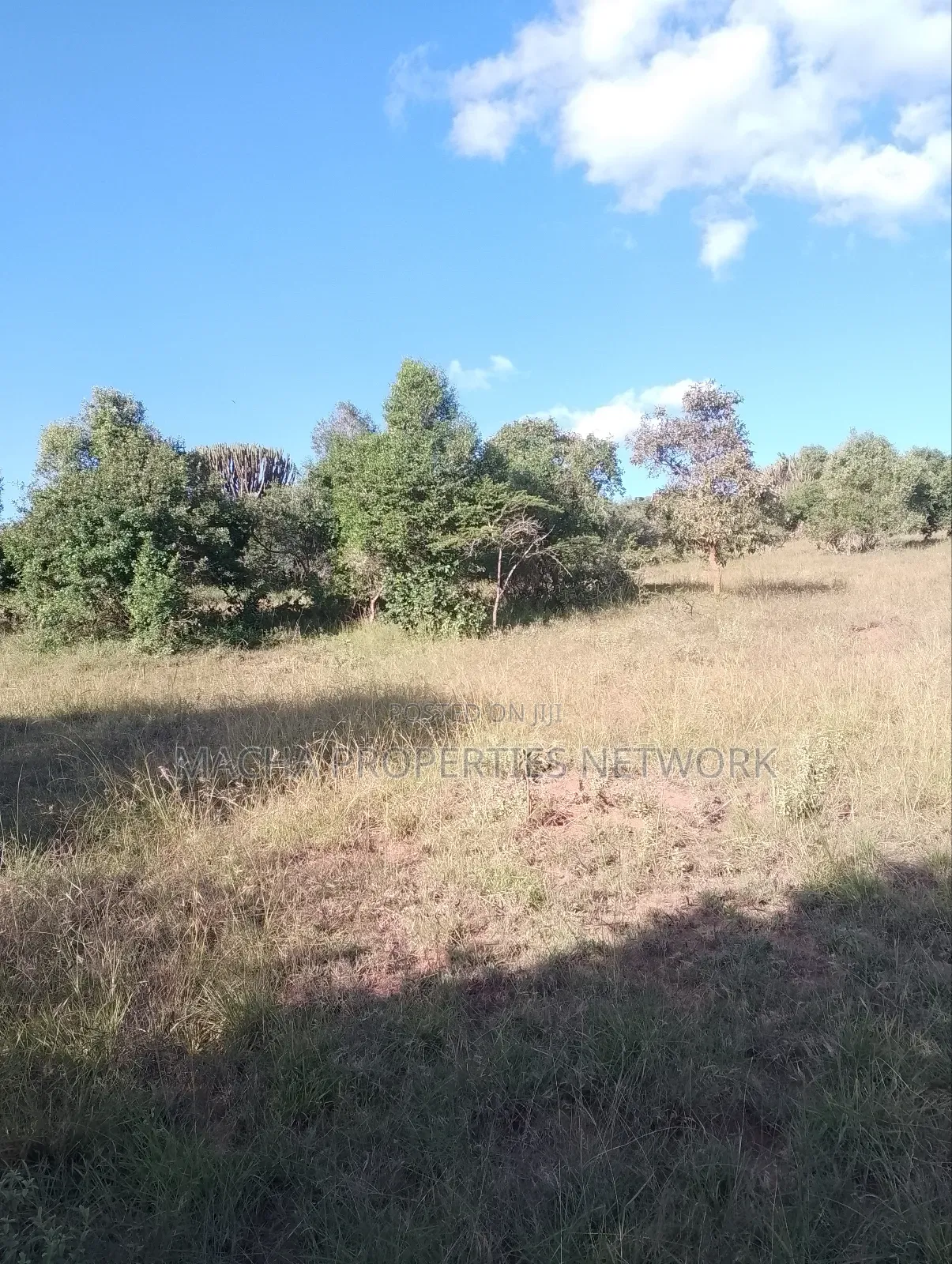 Mua Hills 1,2 or 3 Acres Price 5.5m in Mua