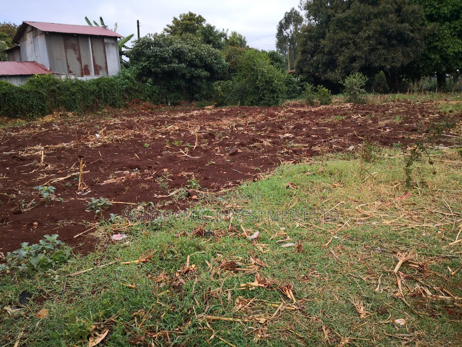 Quarter Acre for Sale in Thogoto Kikuyu Kiambu County. in Kikuyu
