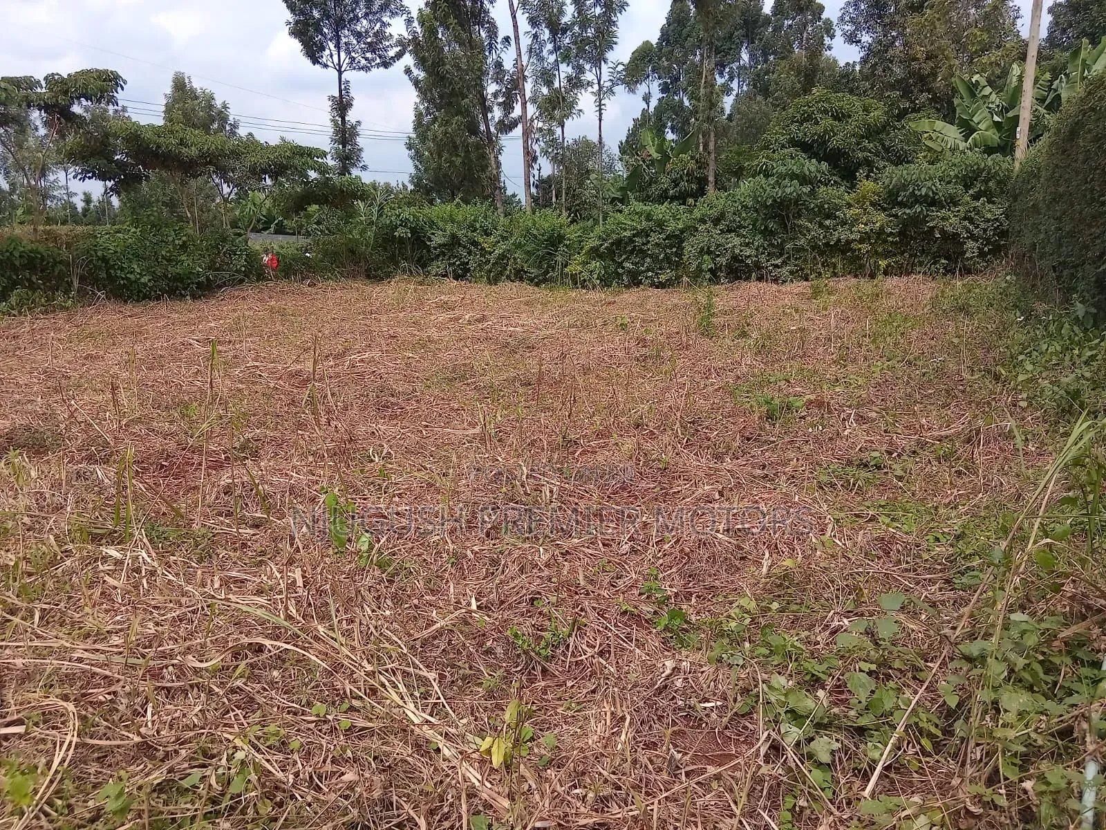 Plot for Sale(0.045ha) in Rosslyn