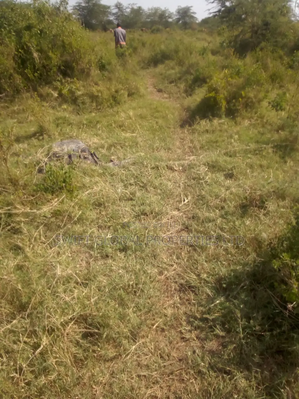 185 Acres Is Available for Sale in Makindu Town Along Msa Rd in Makindu