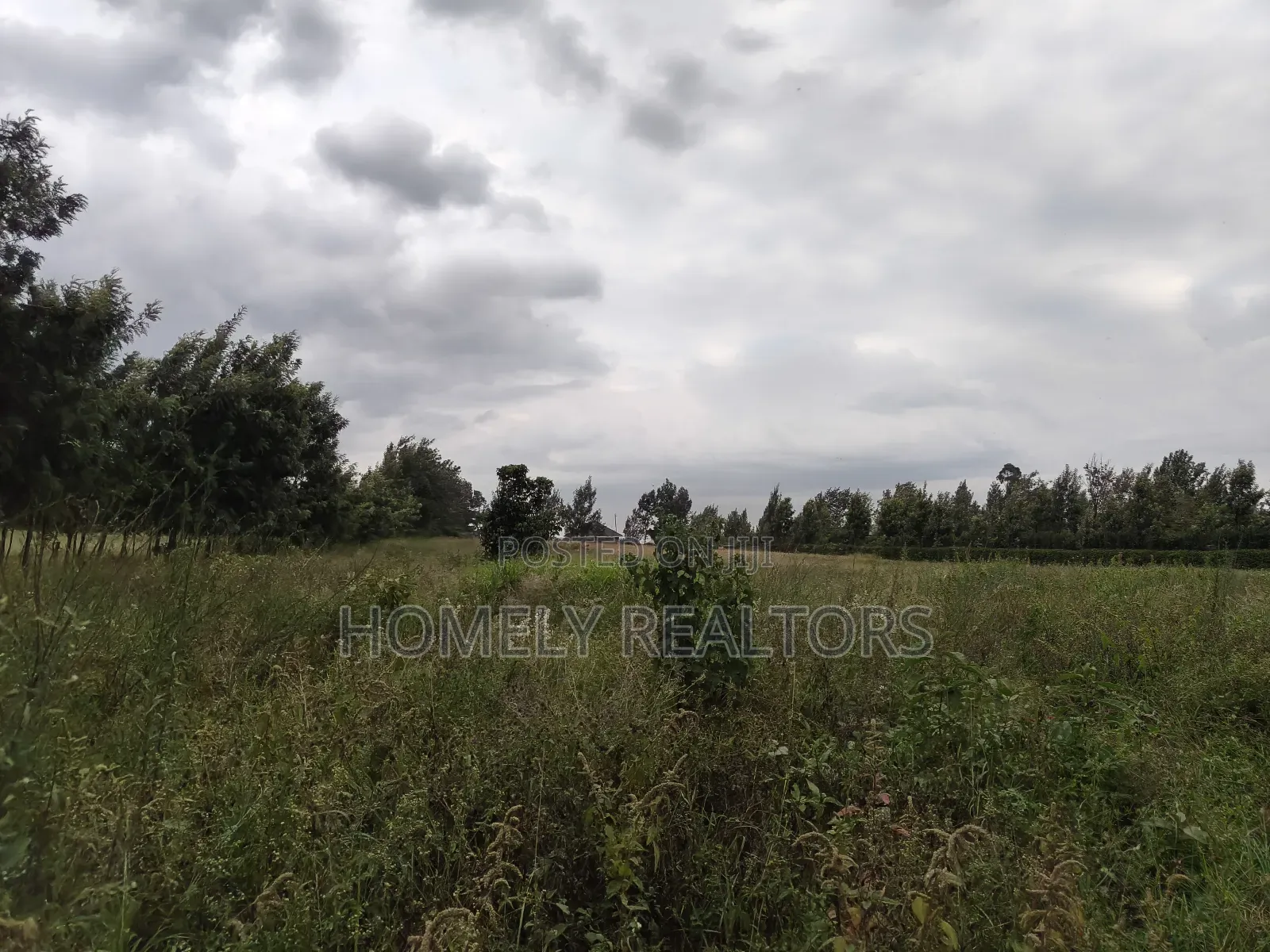 A 3 Acres Piece of Red Soil Land on Sale in Ngong, Kibiko in Ngong