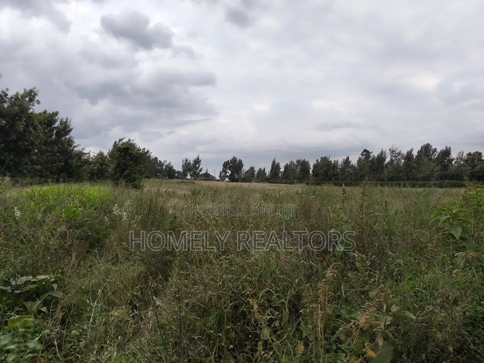 A 3 Acres Piece of Red Soil Land on Sale in Ngong, Kibiko in Ngong