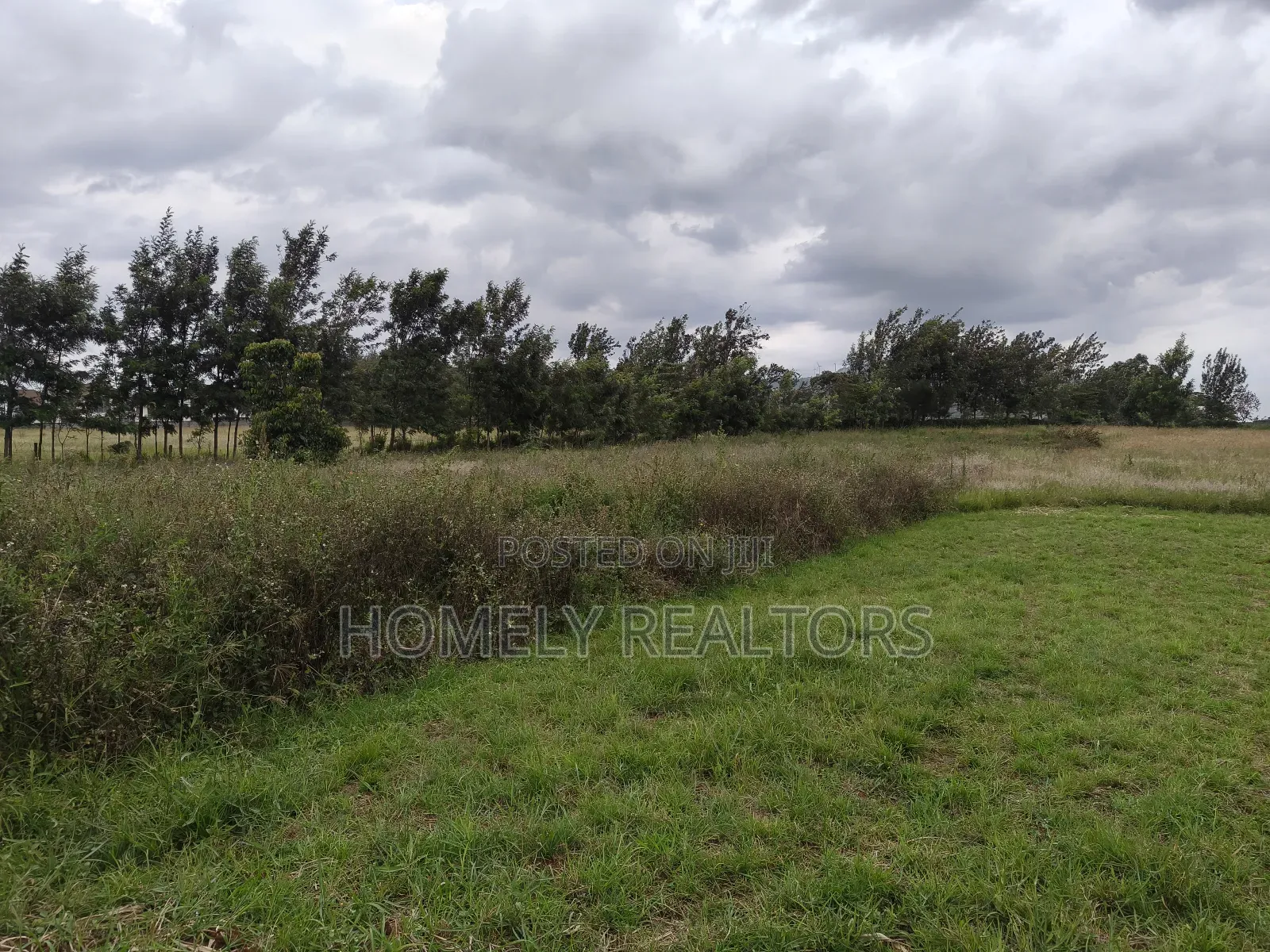 A 3 Acres Piece of Red Soil Land on Sale in Ngong, Kibiko in Ngong