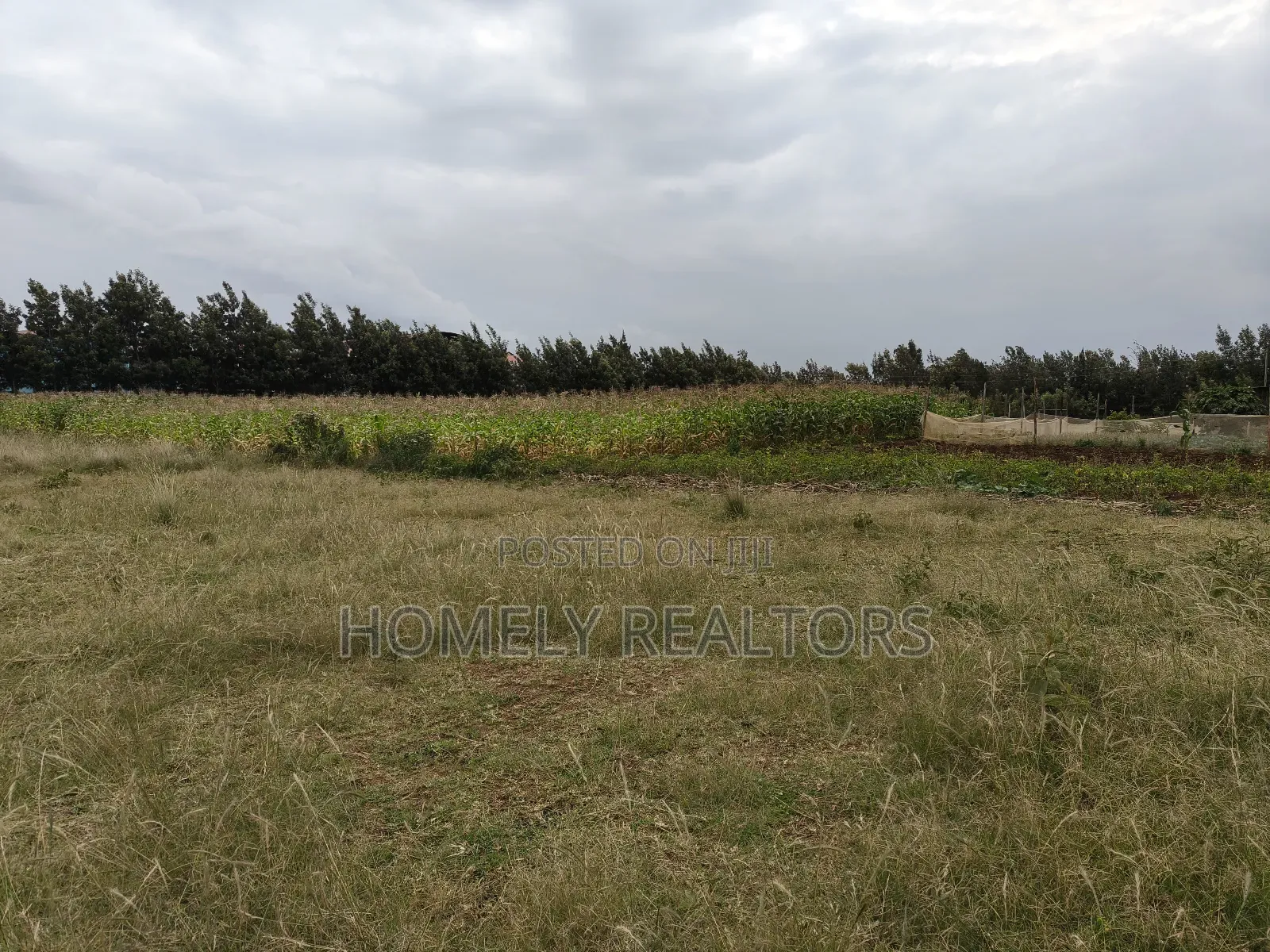 2 Acres of Land Is on Sale in Ngong, Kibiko With Scenic View in Ngong