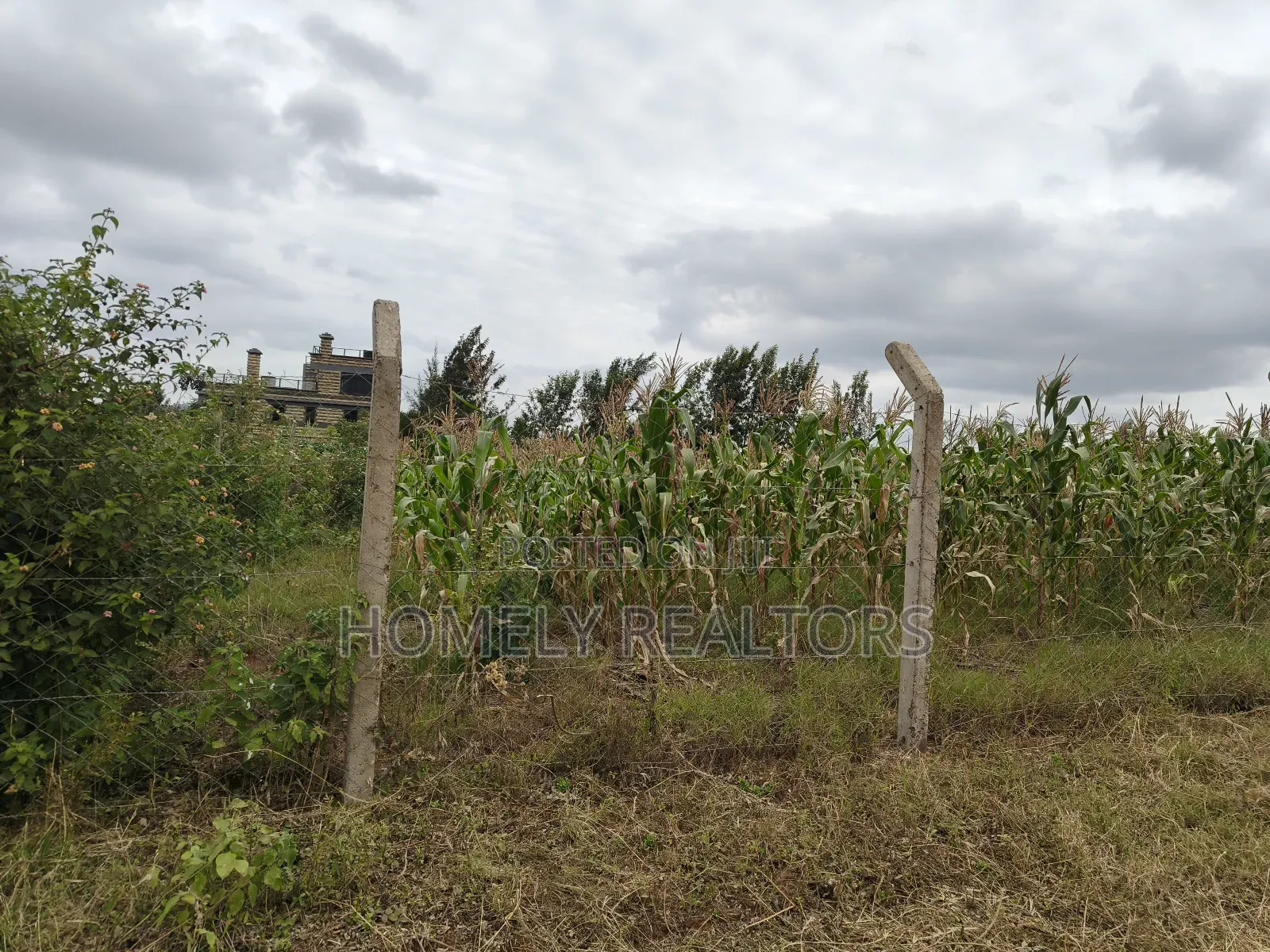 One Acre Piece of Land in Ngong, Kibiku. Fertile Red Soil in Kibiku