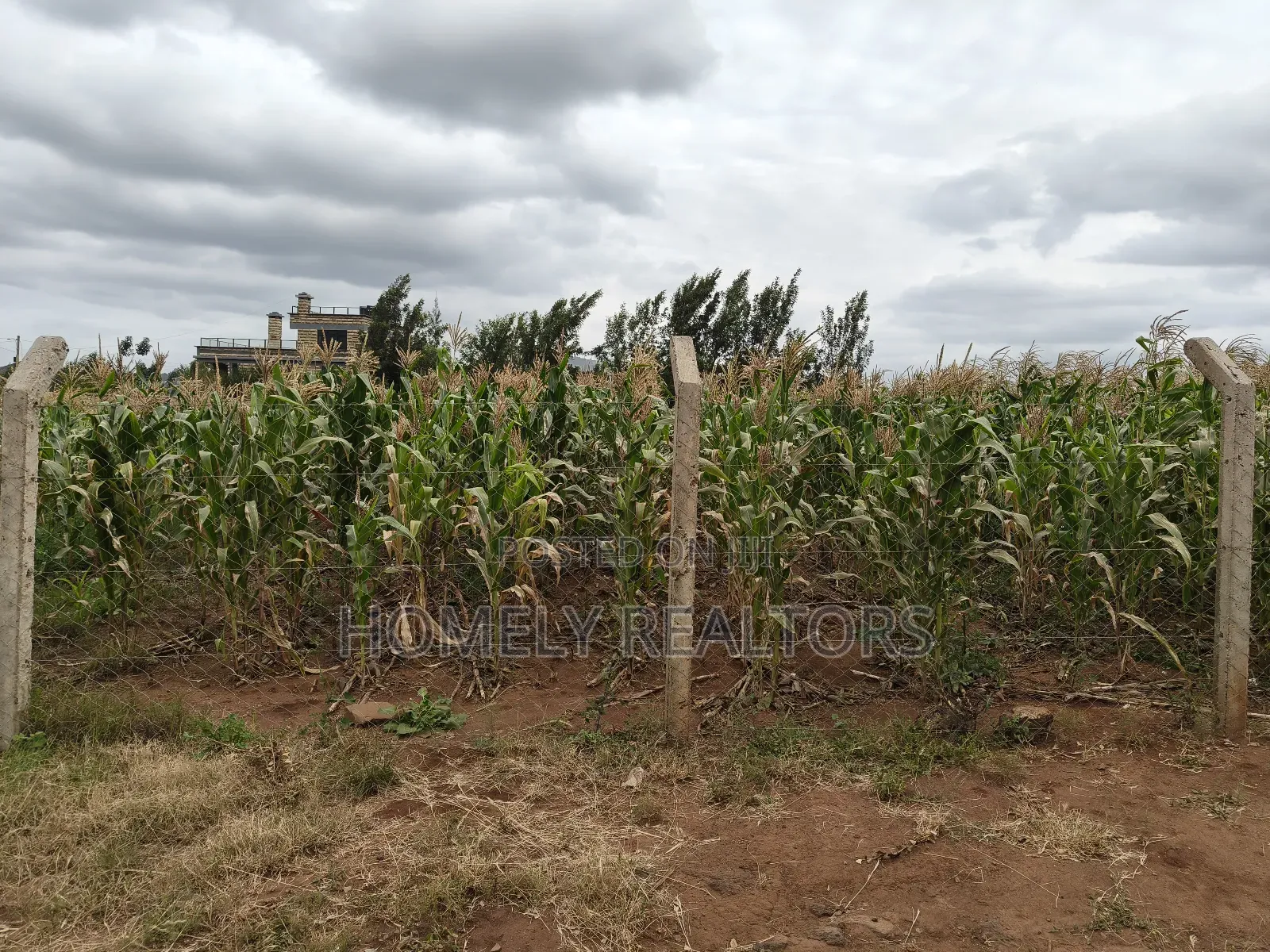 One Acre Piece of Land in Ngong, Kibiku. Fertile Red Soil in Kibiku