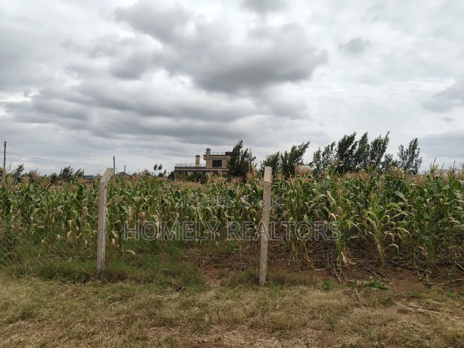 One Acre Piece of Land in Ngong, Kibiku. Fertile Red Soil in Kibiku