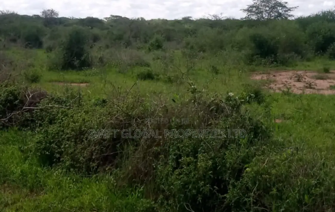 1500 Acres in Voi on Mombasa-Nairobi Highway Is for Sale in Mackinnon Road
