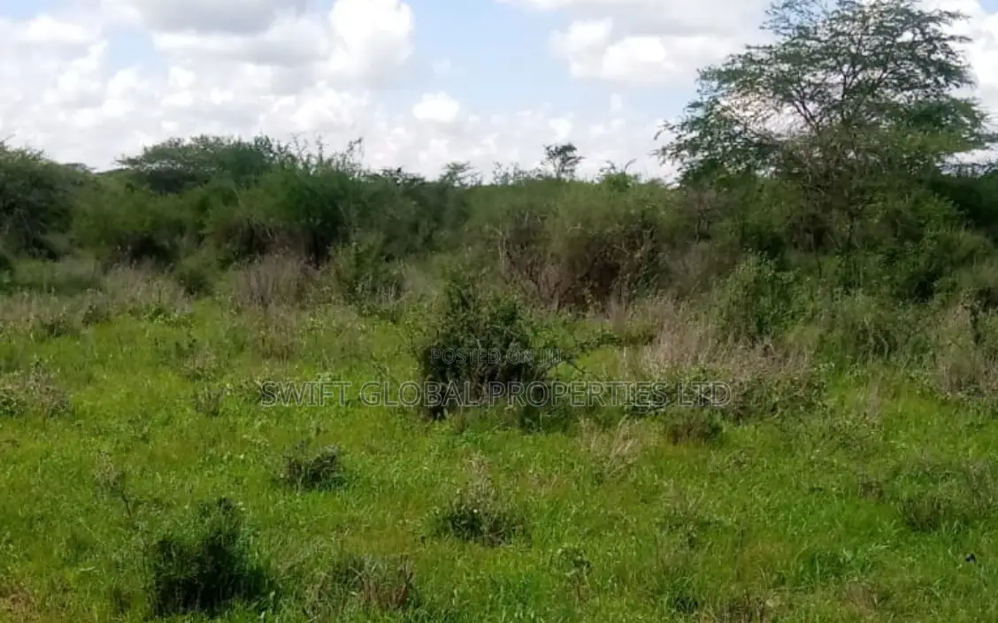 1500 Acres in Voi on Mombasa-Nairobi Highway Is for Sale in Mackinnon Road