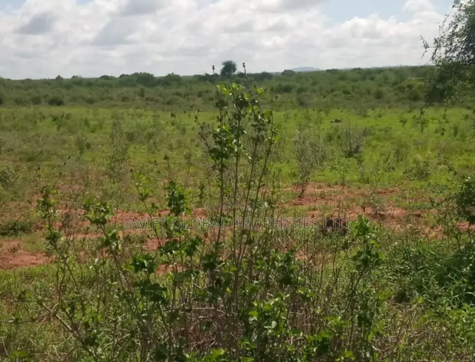 1500 Acres in Voi on Mombasa-Nairobi Highway Is for Sale in Mackinnon Road