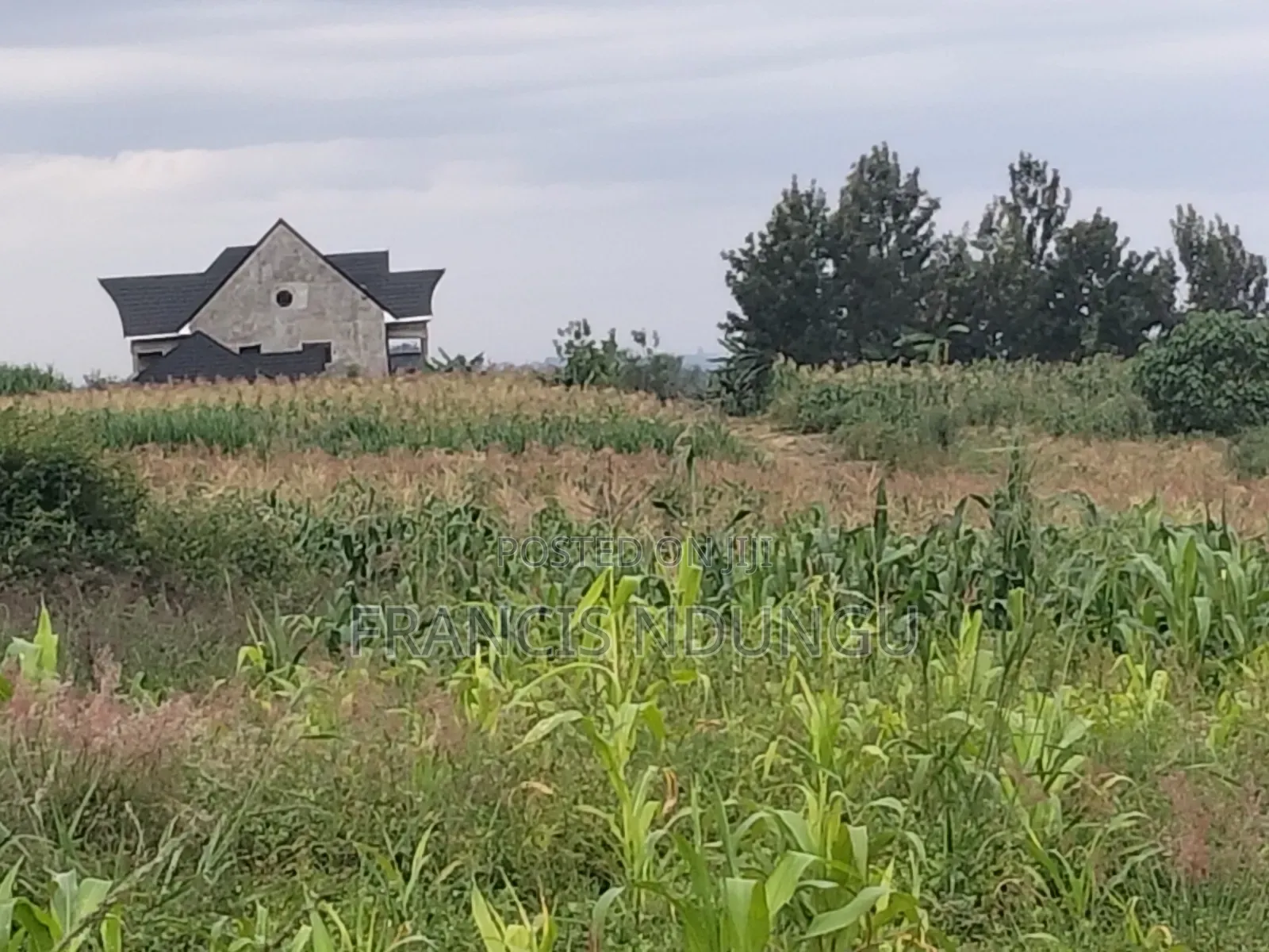 Matrofi Gated Estate Offer: Residential Plot in Kiambutown - Minimum 1 Acre in Tinganga