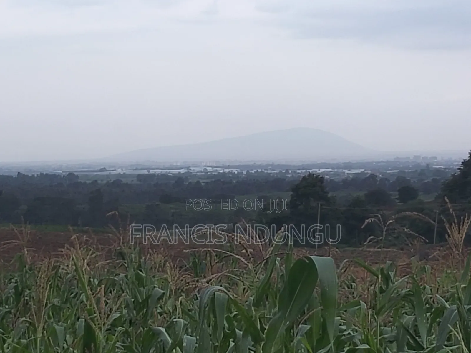 Matrofi Gated Estate Offer: Residential Plot in Kiambutown - Minimum 1 Acre in Tinganga