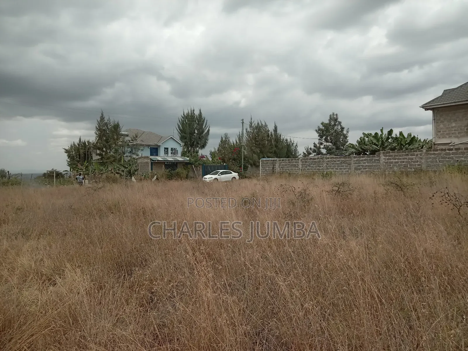 Katani 1/8 Plot in Katani