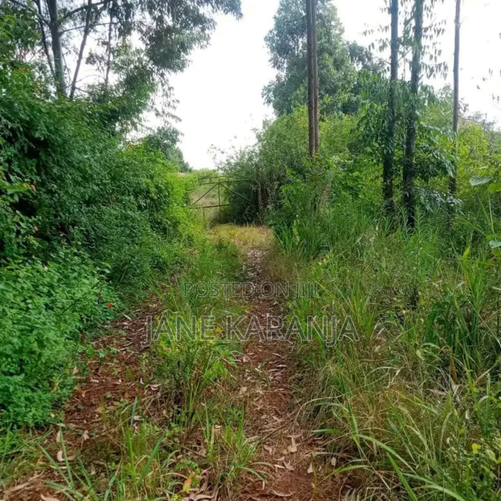 Blocks of 32,220 and 361 Acres Makuyu Muranga County 3.5 M at  in Makuyu