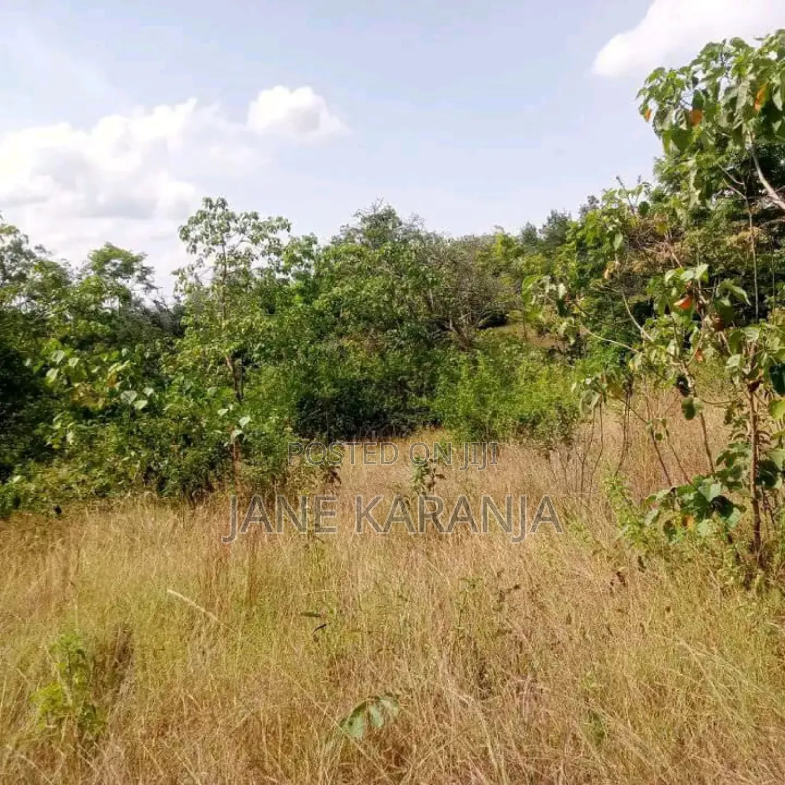 Blocks of 32,220 and 361 Acres Makuyu Muranga County 3.5 M at  in Makuyu