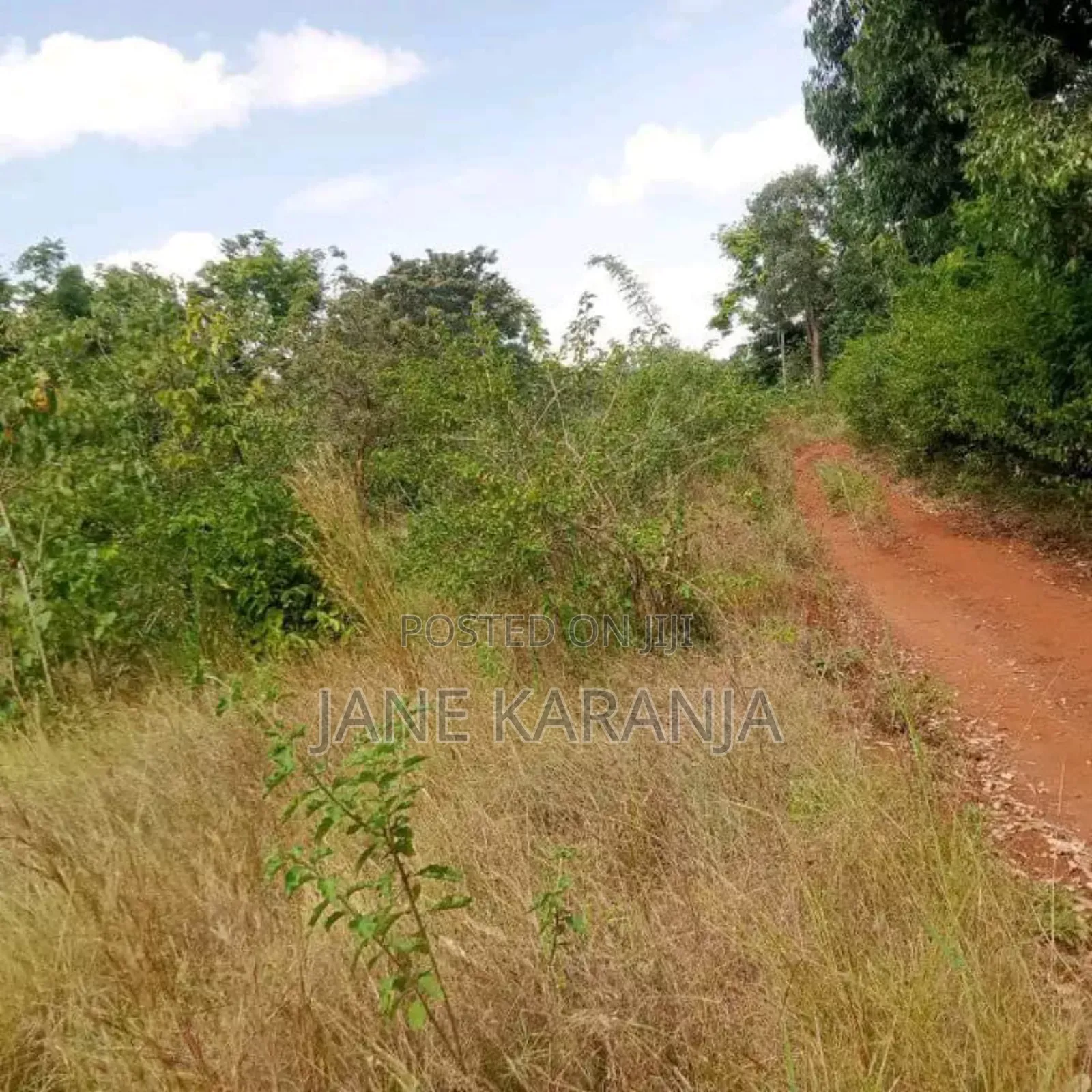 Blocks of 32,220 and 361 Acres Makuyu Muranga County 3.5 M at  in Makuyu