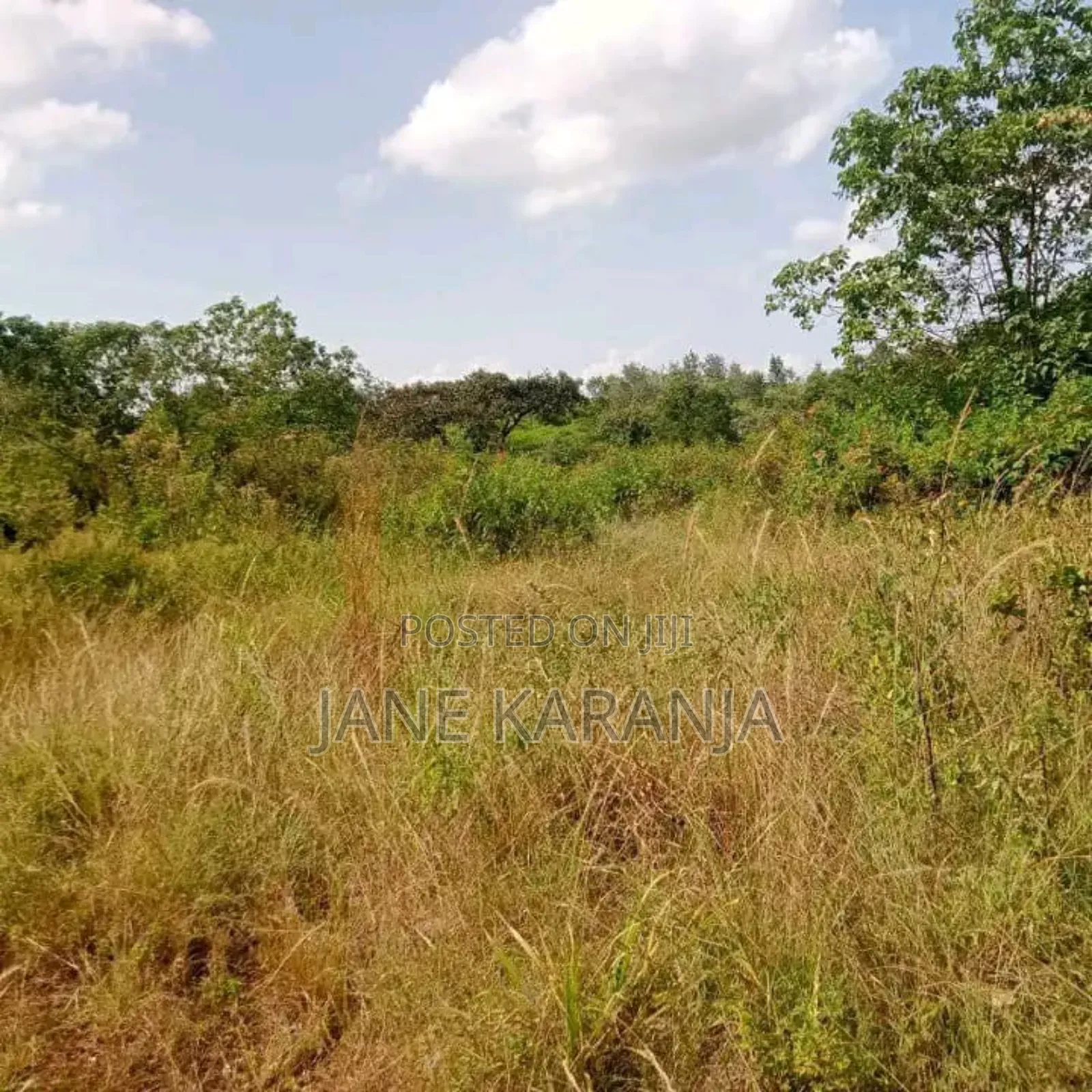 Blocks of 32,220 and 361 Acres Makuyu Muranga County 3.5 M at  in Makuyu