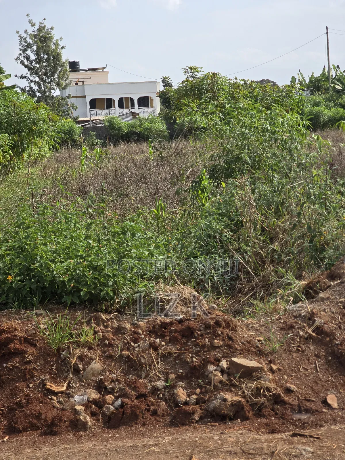 Westwood (Karangaita) 1/2 Acre in Thika