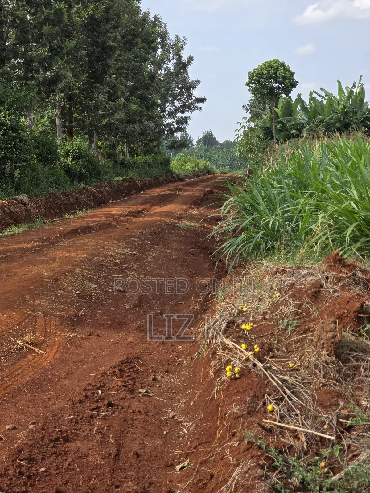 Westwood (Karangaita) 1/2 Acre in Thika