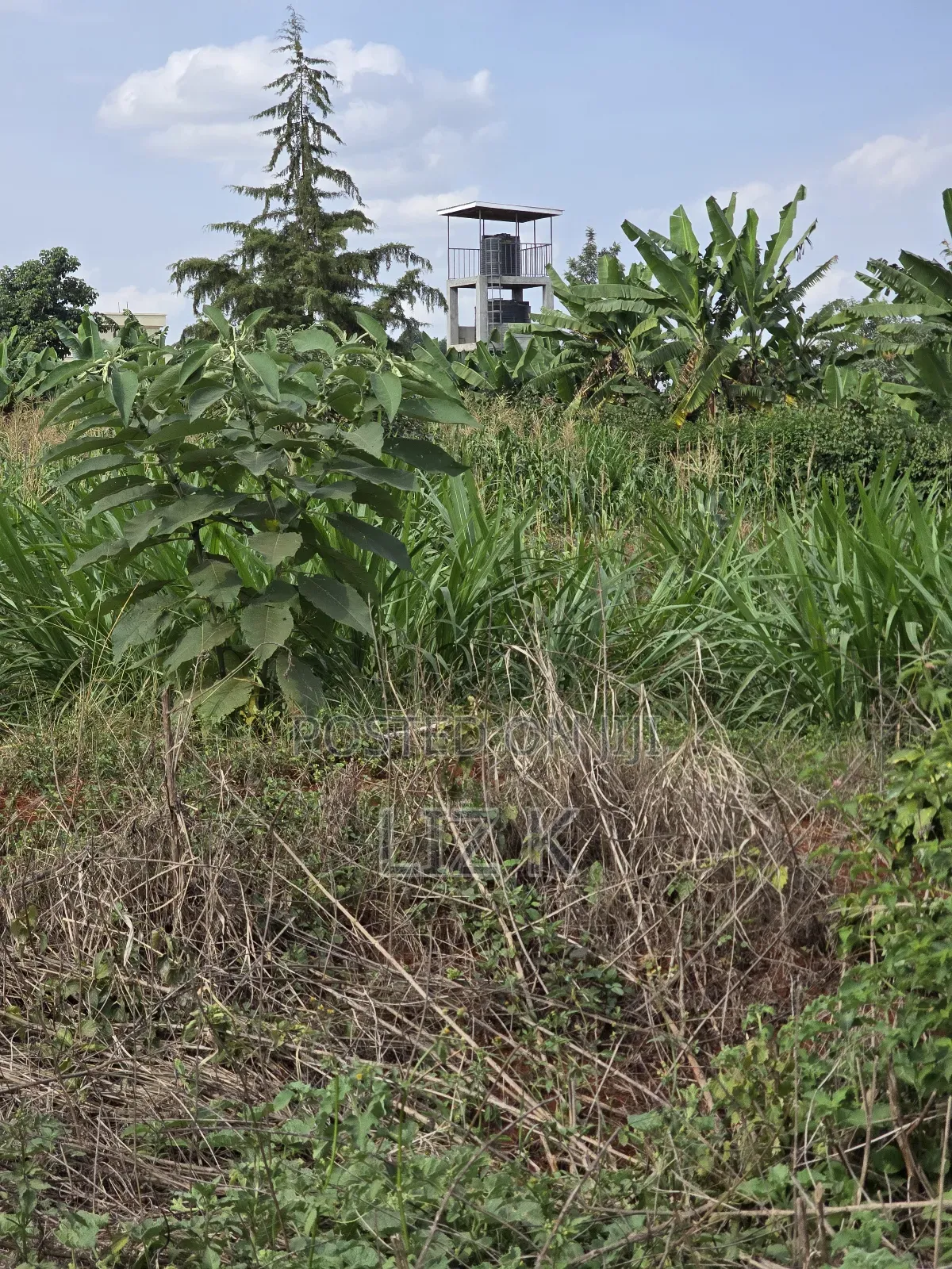 Westwood (Karangaita) 1/2 Acre in Thika