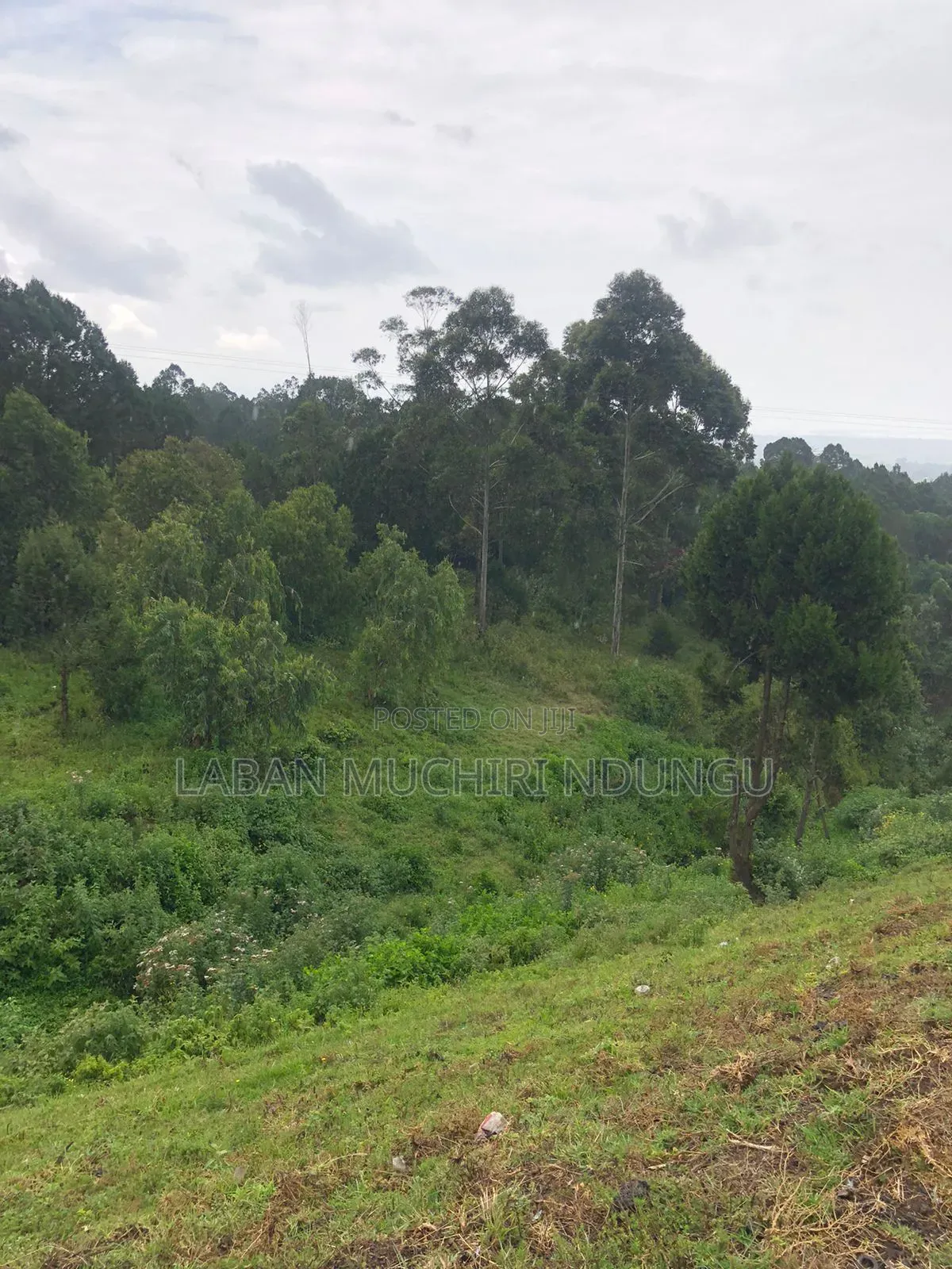 Plot for Sale in Kinungi