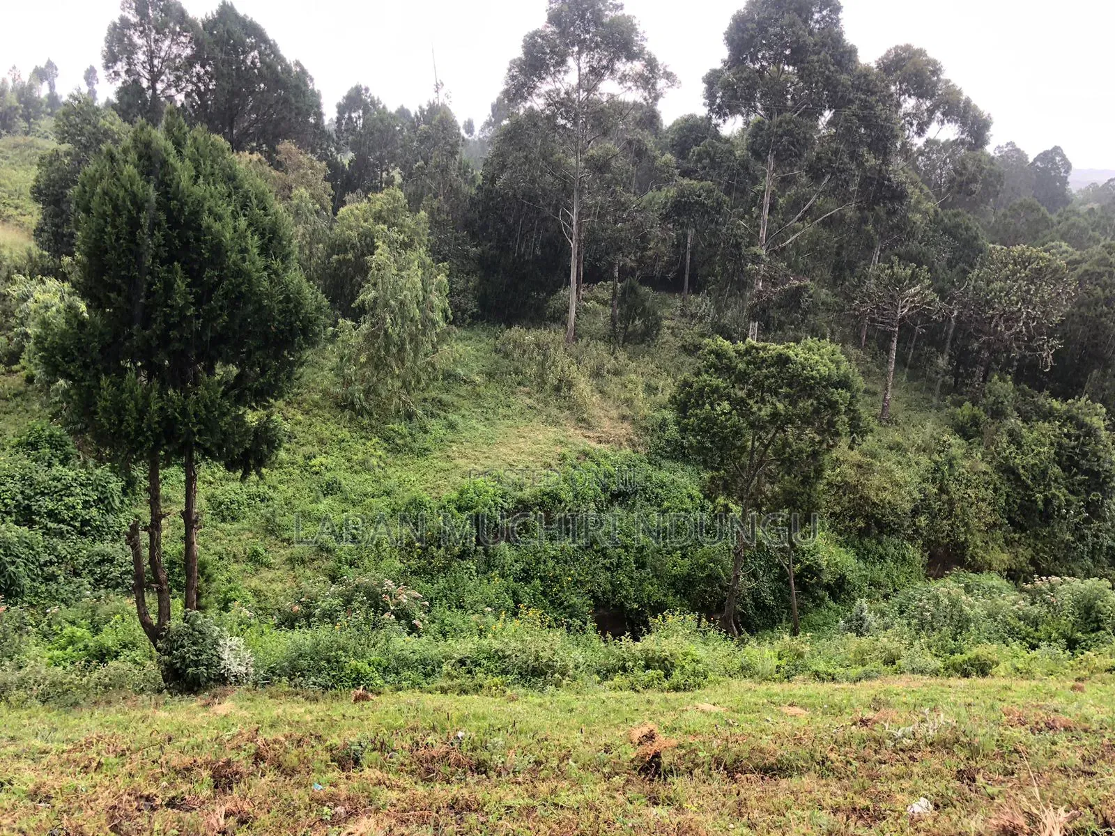 Plot for Sale in Kinungi