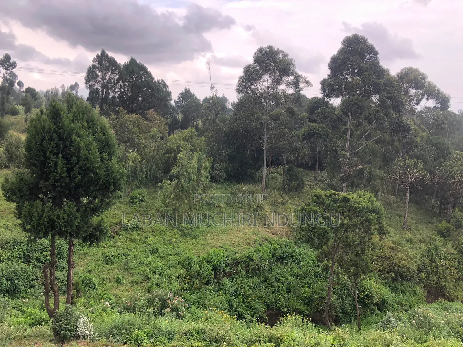 Plot for Sale in Kinungi