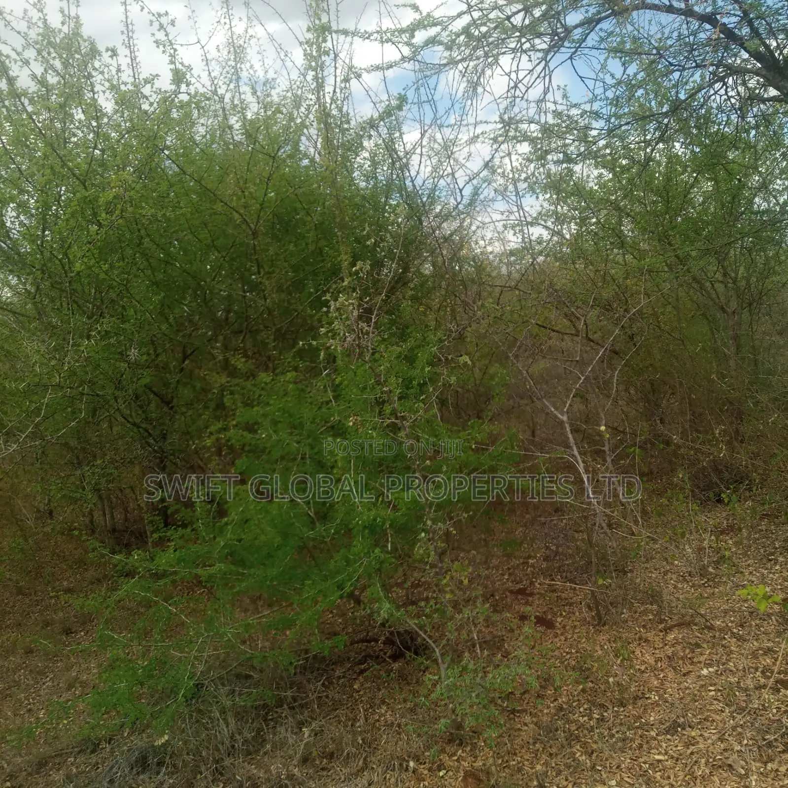 195 Acres Is Available for Sale in Makindu Amref University in Makindu