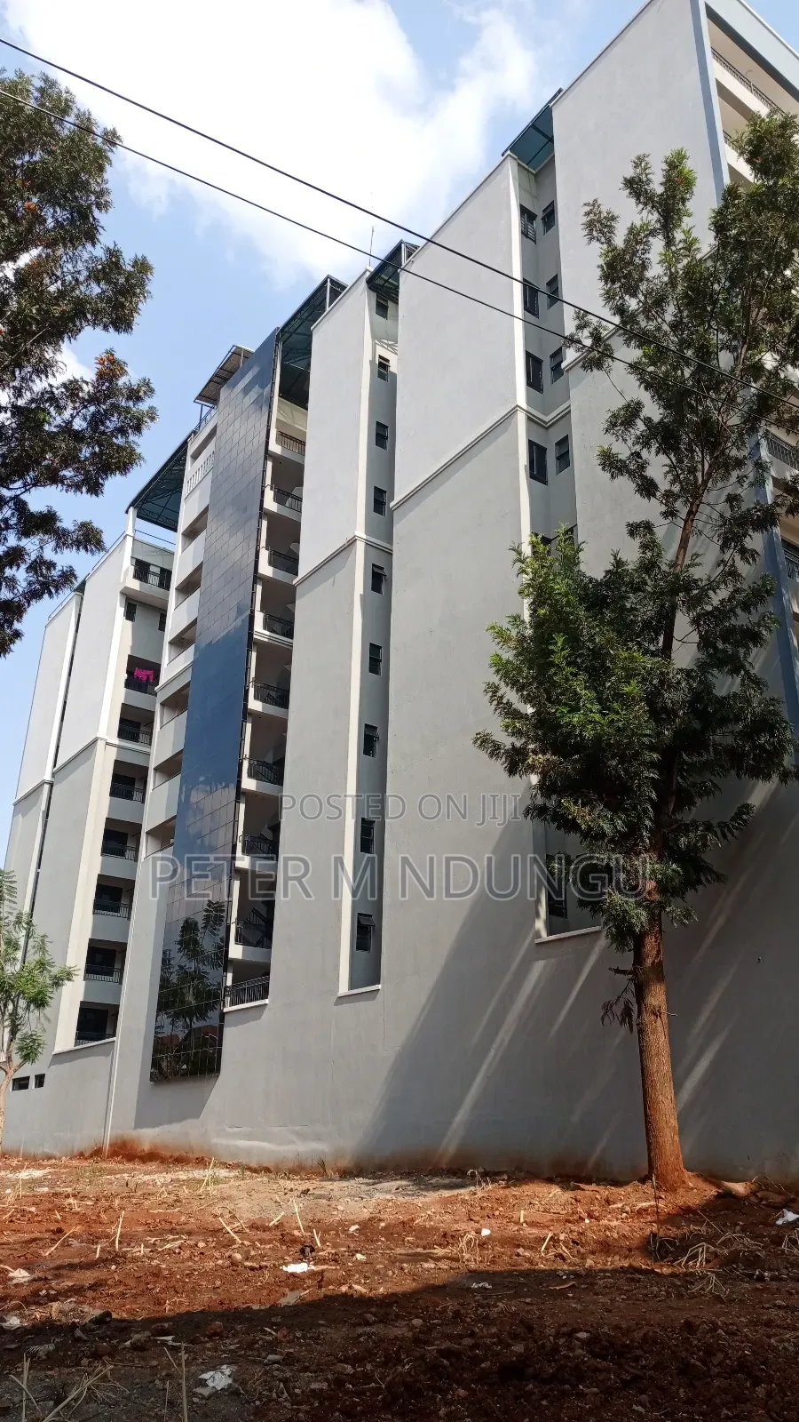 3bdrm Apartment in Thindigua for rent in Thindigua/Kasarini