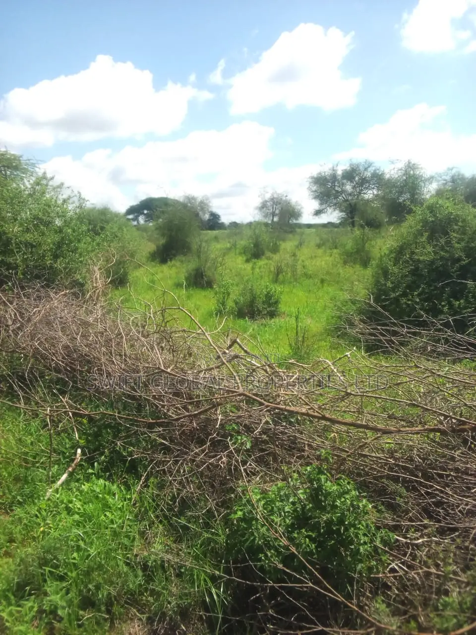 500 Acres Available for Sale in Kibwezi Kanyungu Makueni in Mtito Andei