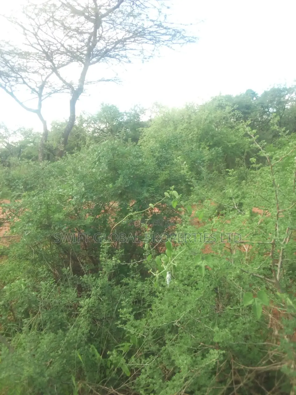 500 Acres Available for Sale in Kibwezi Kanyungu Makueni in Mtito Andei