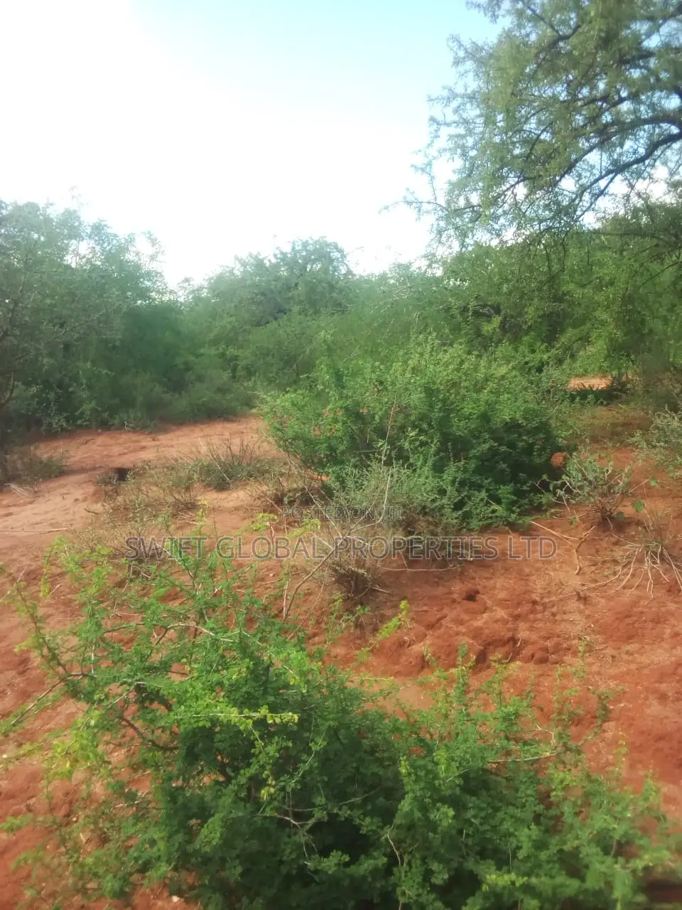 500 Acres Available for Sale in Kibwezi Kanyungu Makueni in Mtito Andei