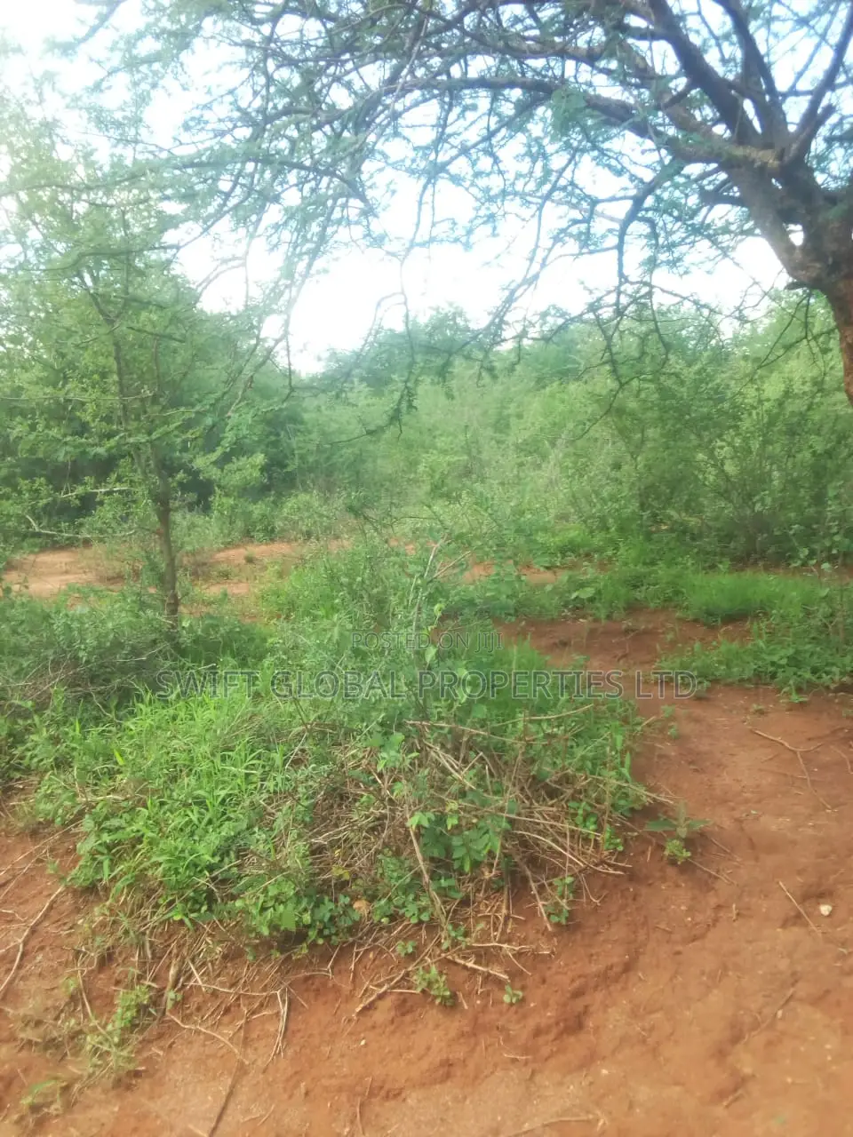 500 Acres Available for Sale in Kibwezi Kanyungu Makueni in Mtito Andei