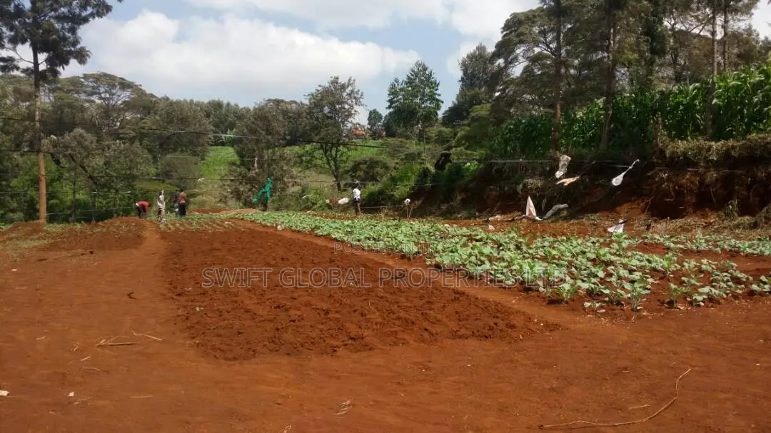 Spacious 0.5 Acre Land for Sale in Karura Kanyungu, Kiambu in Kihara