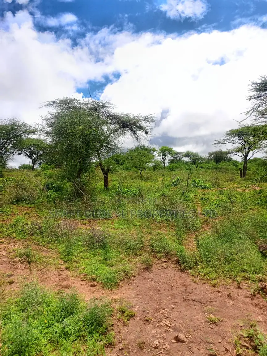 1200 Acres of Virgin Land in Kambu Makueni Is for Sale in Mtito Andei